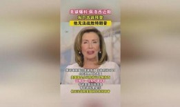 法媒爆料佩洛西新闻